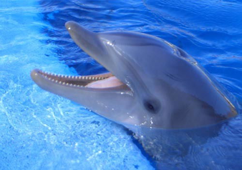 Rhyr5Ryg2Hgbf5Rhyr5Ryg2Hgbf5 Rhyr5Ryg2Hgbf5