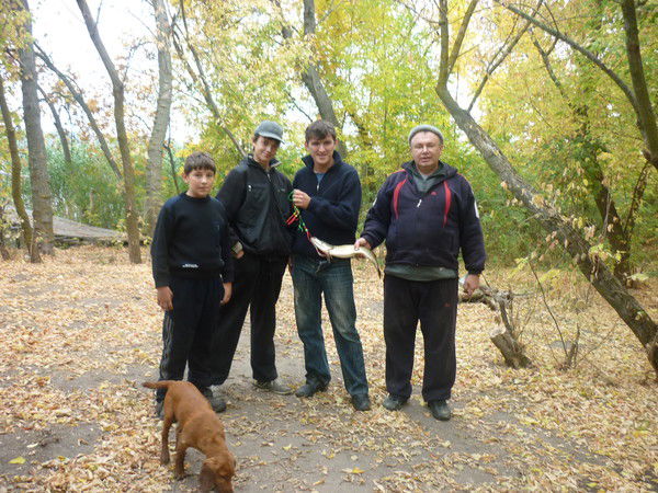 Андрей Бережнов