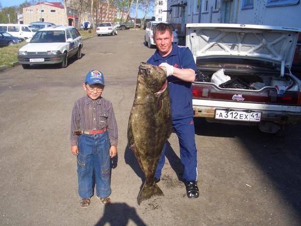 Александр Жидких