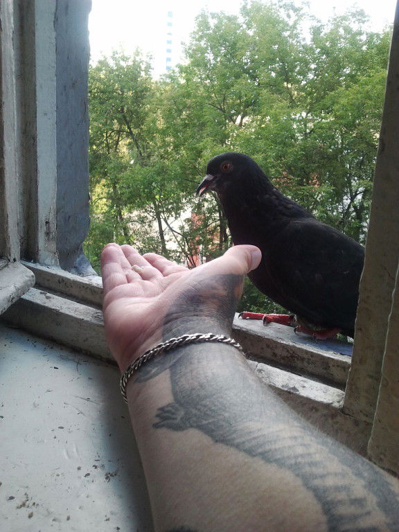 Александр Лакоста