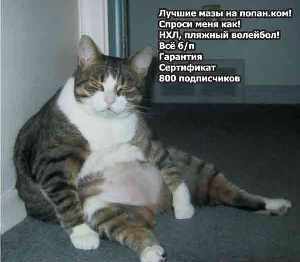 Алекс Толькодляженщин