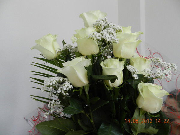 Ирина Коновалова