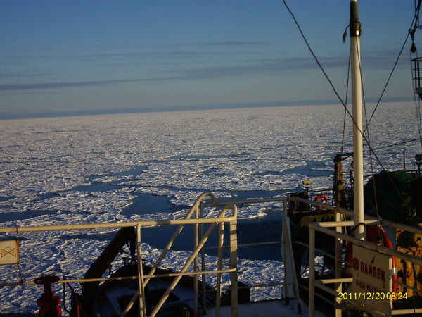 Игорь Онищенко