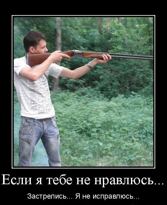 Николай Чуб