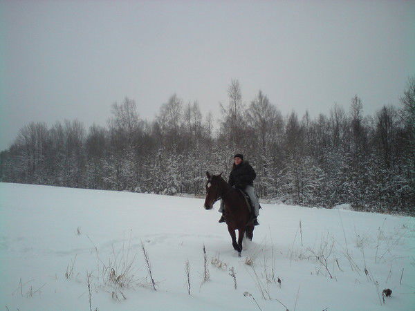 Татьяна Авраменко