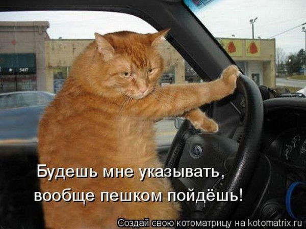 Лариса Прибойченко