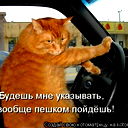 Лариса Прибойченко