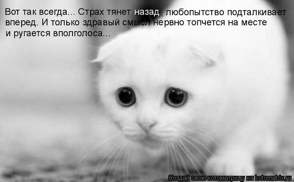 Татьяна Княгницкая