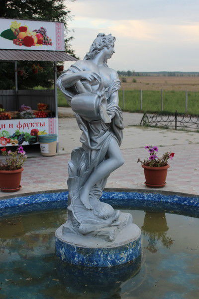 Татьяна Веселова