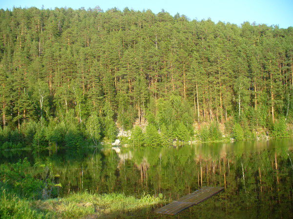 Елена Паймурзина