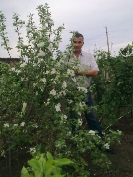 Сергей Григорьев