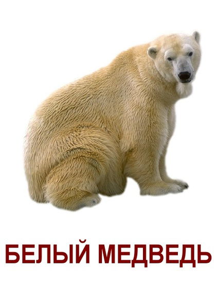 Михаил Кондрунин