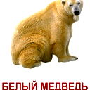 Михаил Кондрунин
