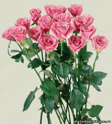 Редакция Газеты Заря