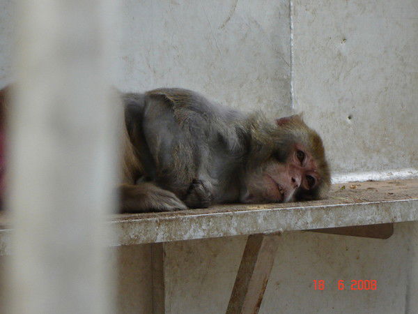 Сергей Столяров