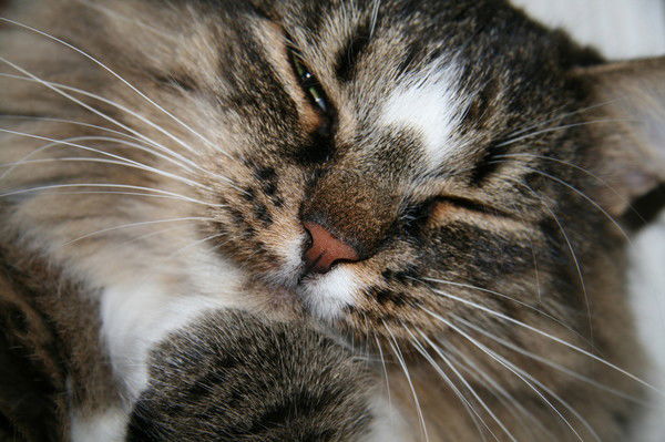 Наталия Бахарева