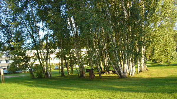 Неизвестно Неизвестно