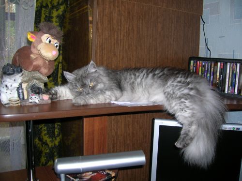 Татьяна Вишневская