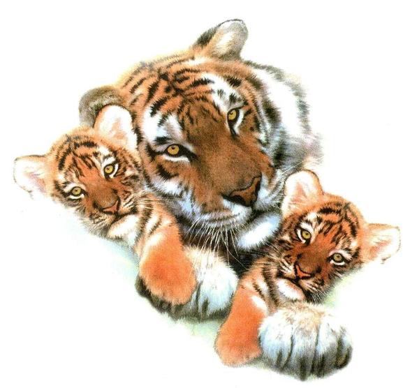 Валентина Калинина