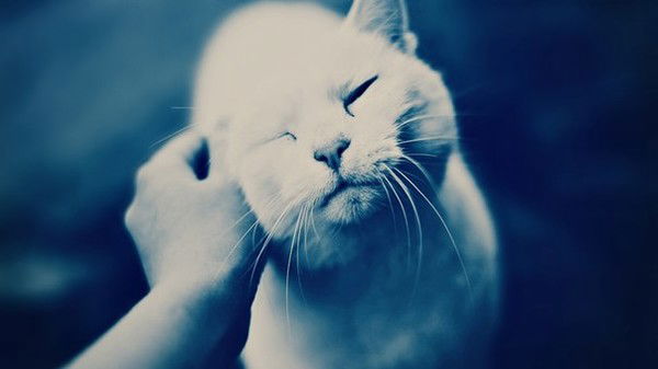 Самат Жакасын