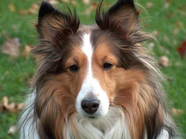 Евгения ~ Осипова