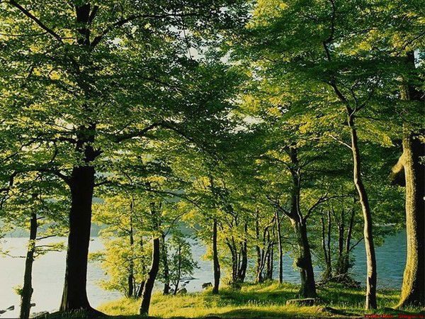 Гбузра Мгкб