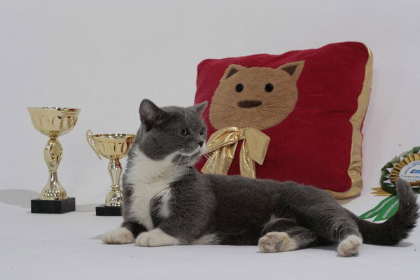 Василина Виноградова