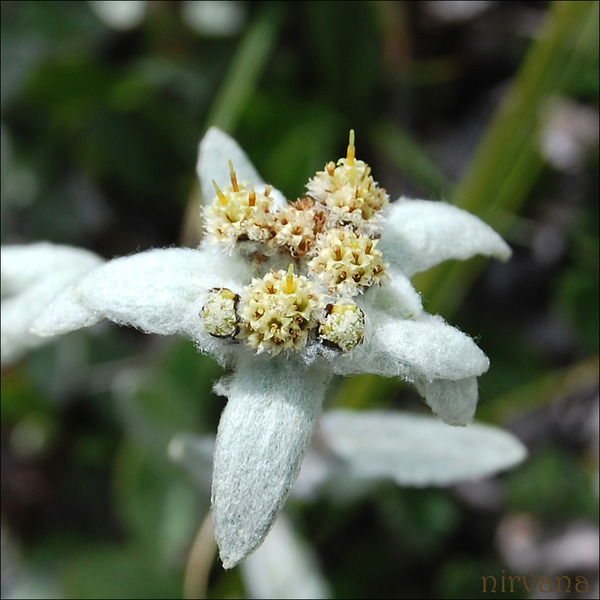 Татьяна Петрякова