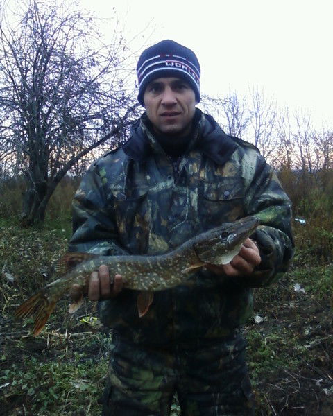 Андрей Кайсын