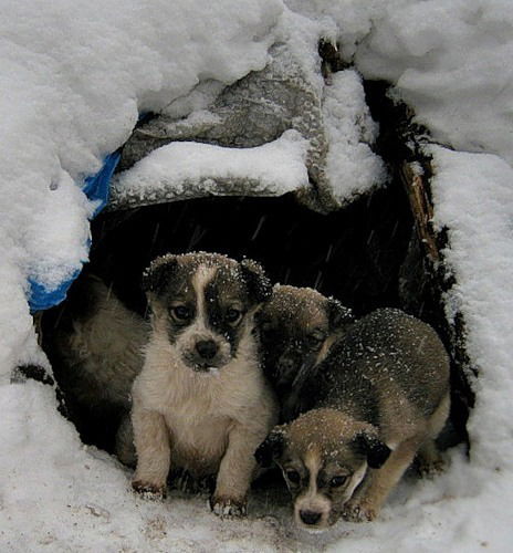 Гульнур Мустафина