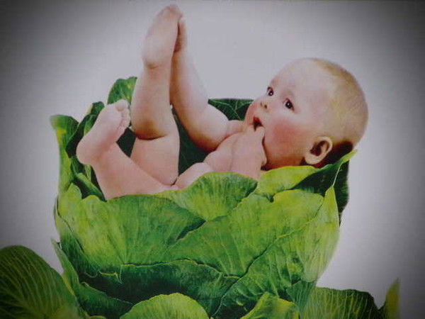 Сергей Кучеренко