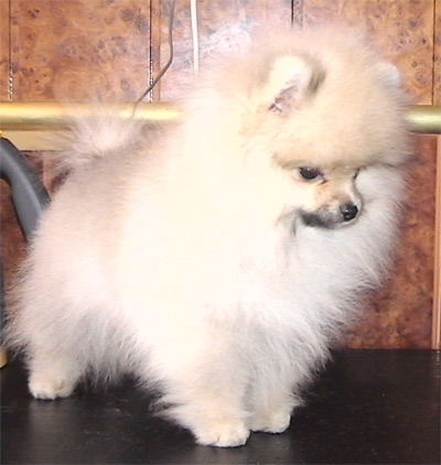 Георгий Крюков