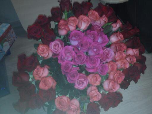 Елена Сорокина