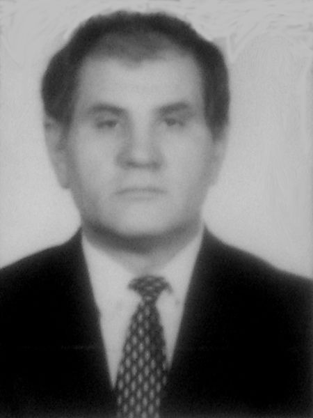 Михаил Костик