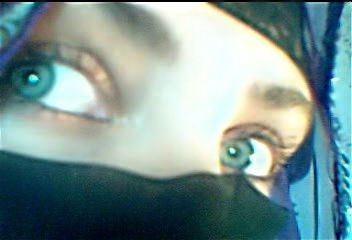 Светлана Шилак