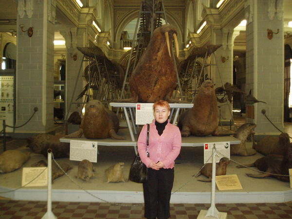 Ирина Бушкова