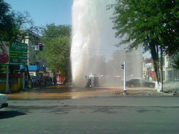 Елена Сидоренко