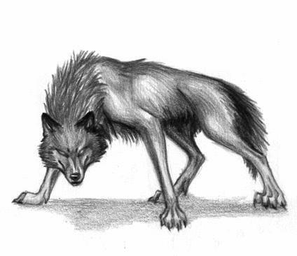 Костя Волкотруб