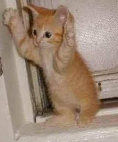 Безкомпромиссный Шаг!