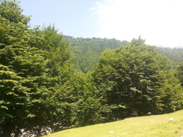 Джалил Мехдиев