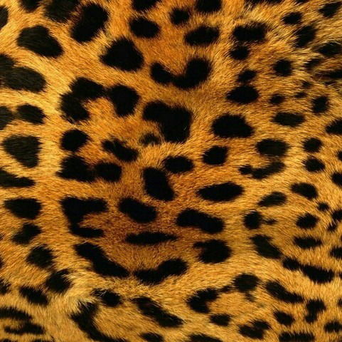 Айсулу Джимбаева