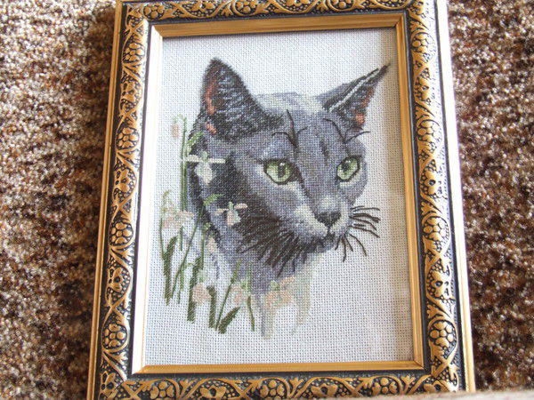 Инна Забабонина