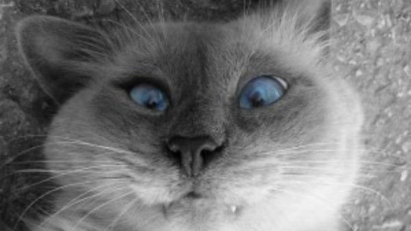 Данил Устюгов