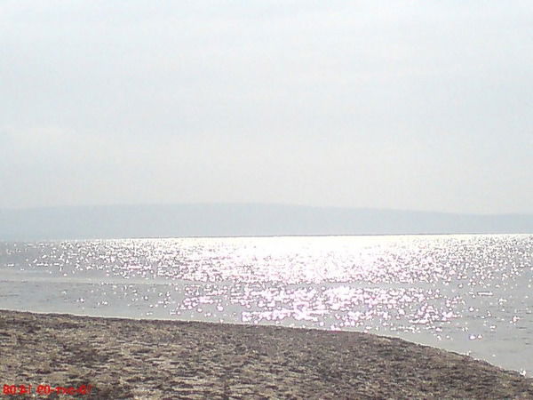 Татьяна Мустафаева