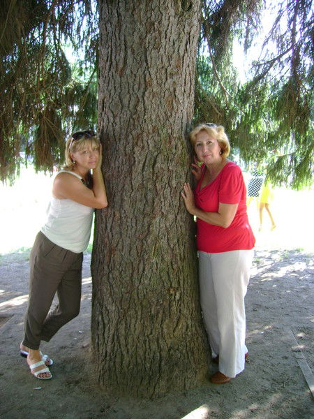 Иннa Шамбалевa