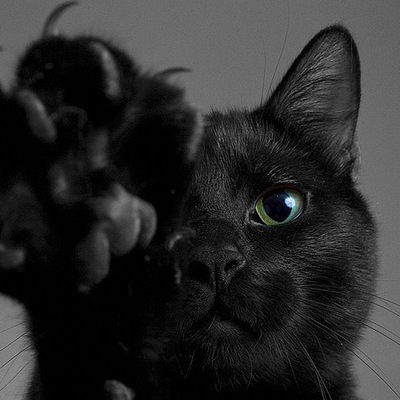 Елена Петрова