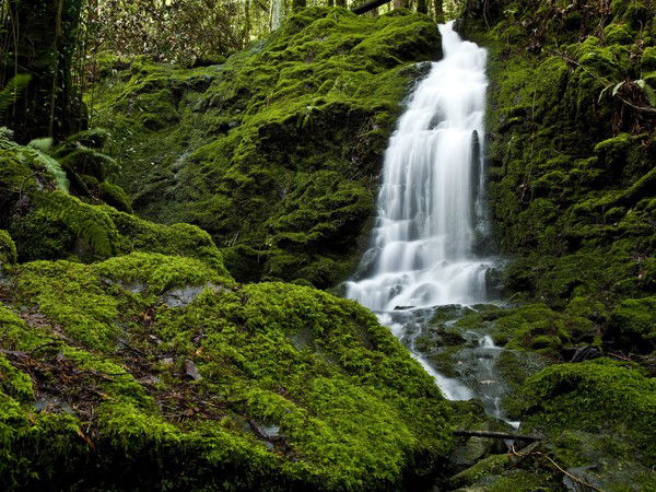 Ася Махметова