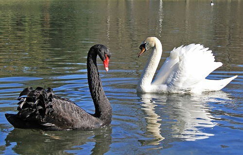 Недвижимость Заинск