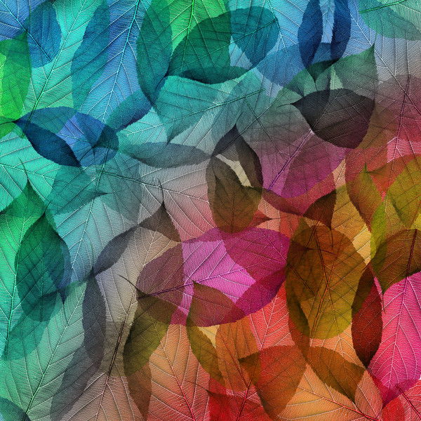 Евгения Илехметова