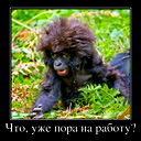 Андрей Шевченко